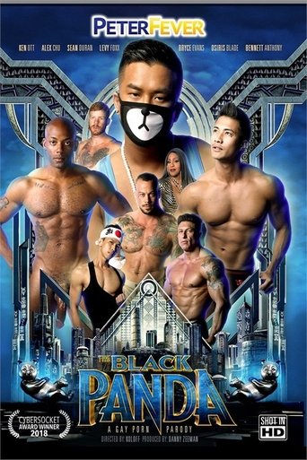 Poster of The Black Panda 1