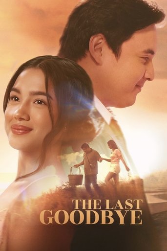 Poster of The Last Goodbye
