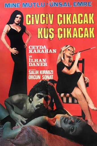 Poster of Civciv Çıkacak Kuş Çıkacak