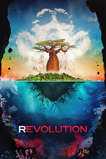 Poster of Revolution