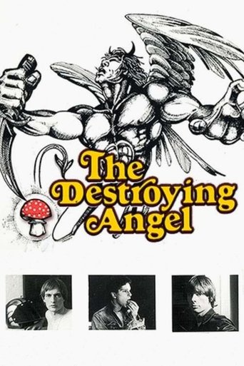 Poster of The Destroying Angel