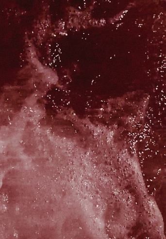 Poster of Maré Terra