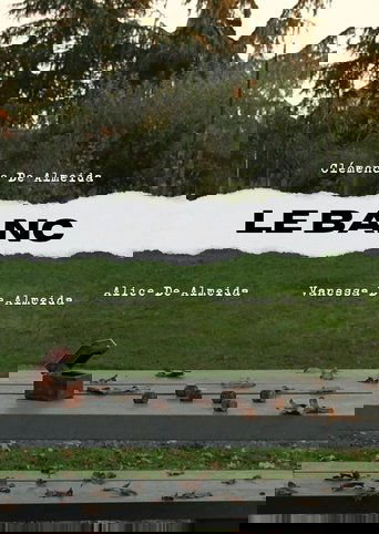 Poster of Le Banc