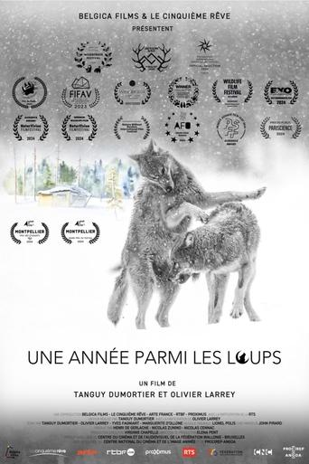 Poster of Une année parmi les loups