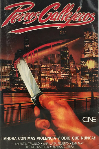 Poster of Perro callejero