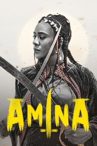 Poster of Amina