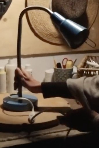Poster of Vie d'une lampe