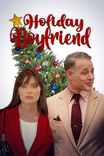 Poster of Holiday Boyfriend