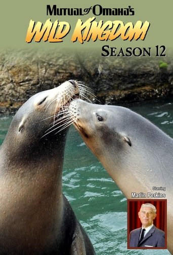 Portrait for Mutual of Omaha's Wild Kingdom - Season 12