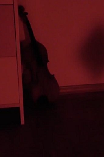 Poster of Schatten