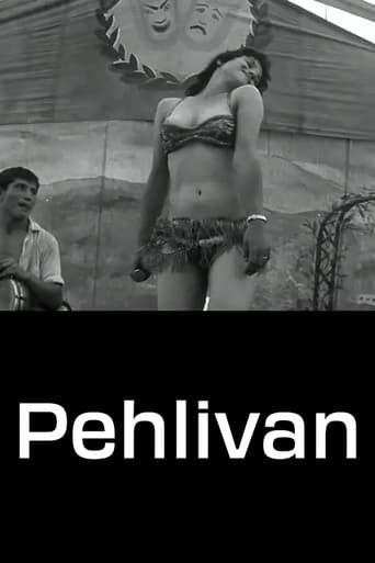 Poster of Pehlivan