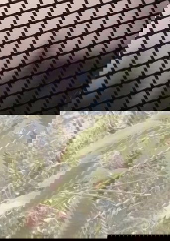 Out now Poster of Out now