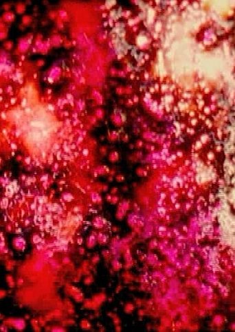 Poster of The Flickering of the Minds Eye