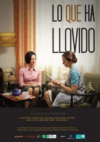 Poster of Lo que ha llovido