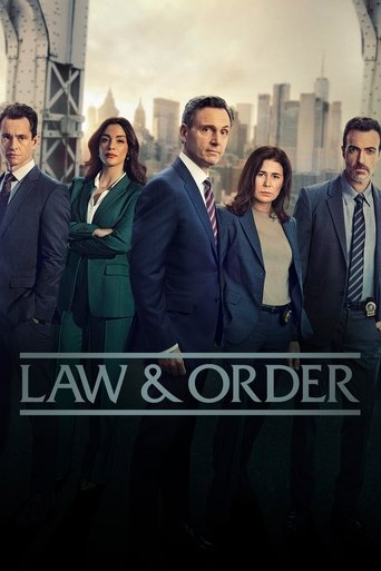Portrait for Law & Order - Season 25