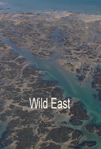 Poster of Wild East