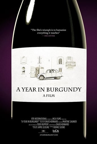 Poster of A Year in Burgundy