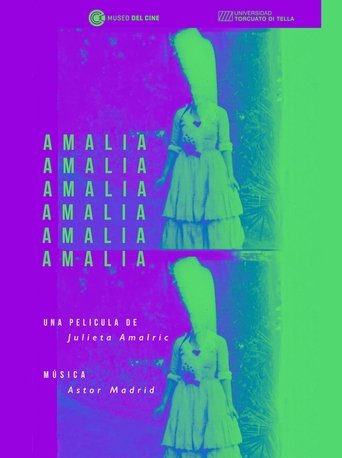 Poster of Amalia