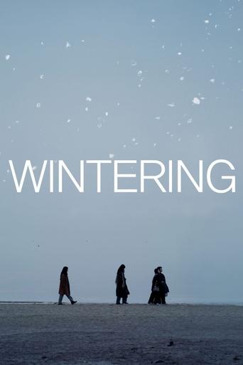 Poster of Wintering