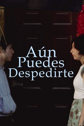 Poster of Aún puedes despedirte