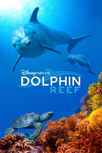 Poster of Dolphin Reef