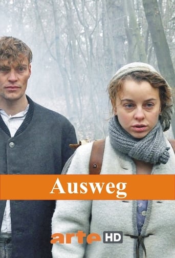 Poster of Ausweg