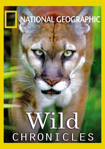 Wild Chronicles Poster of Wild Chronicles