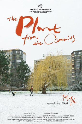 Poster of The Plant from the Canaries
