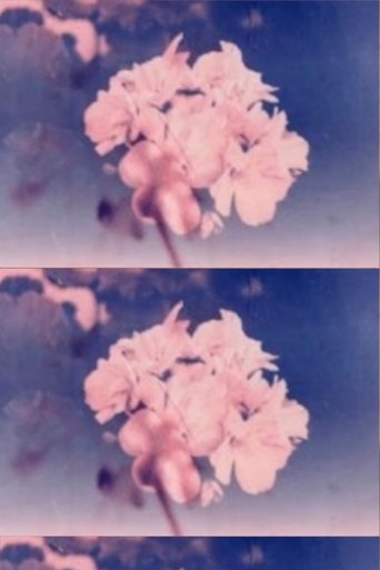 Poster of Wild Flower