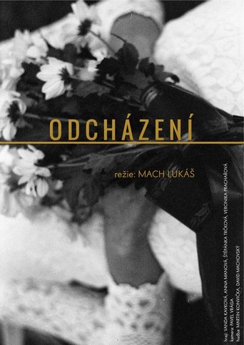 Poster of Odcházení
