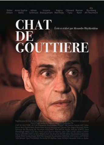 Poster of Chat de gouttière