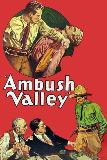 Poster of Ambush Valley