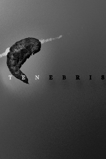 Poster of Tenebris