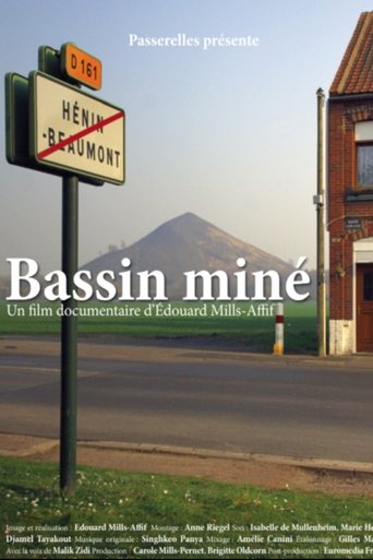 Poster of Bassin miné