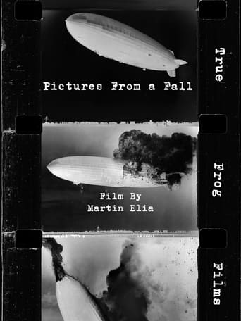 Poster of Pictures From a Fall