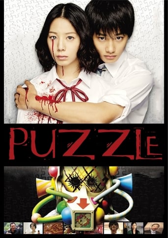 Poster of Puzzle