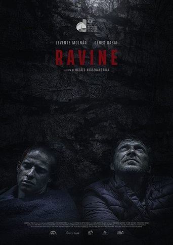 Poster of Ravine