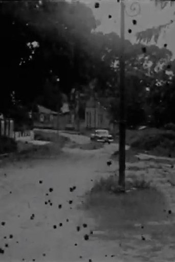 Poster of O Desastre