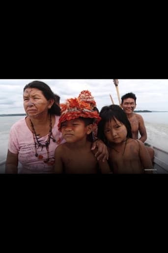 Poster of Protecting the Amazon Demands Radical Change