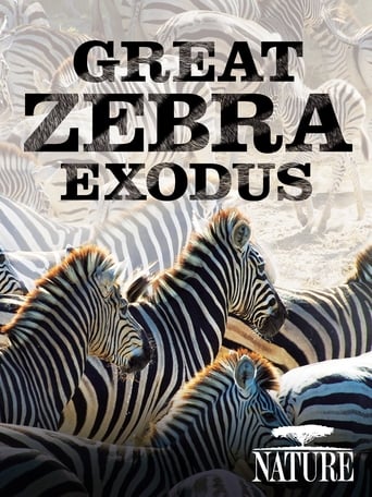 Poster of Nature: Great Zebra Exodus