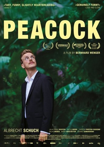 Peacock Poster of Peacock