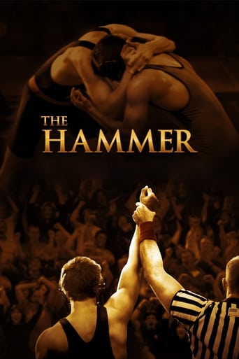 Poster of The Hammer