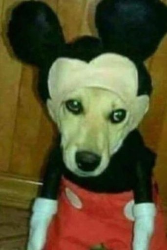 Portrait of Мики