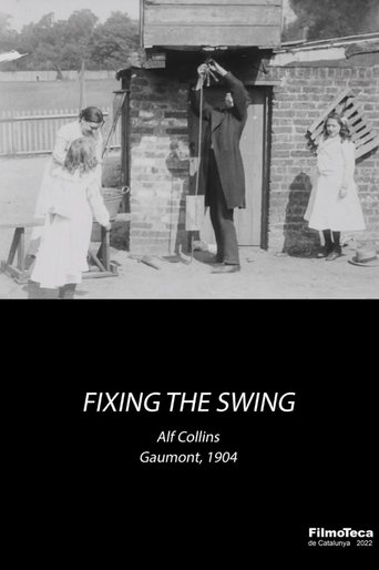Poster of Fixing the Swing