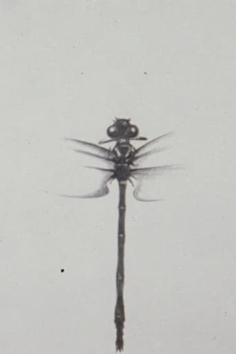 Poster of Dragonfly