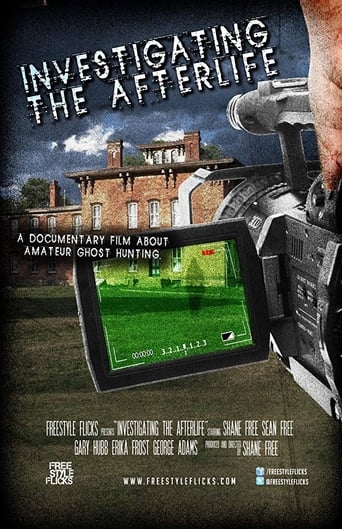 Poster of Investigating the Afterlife