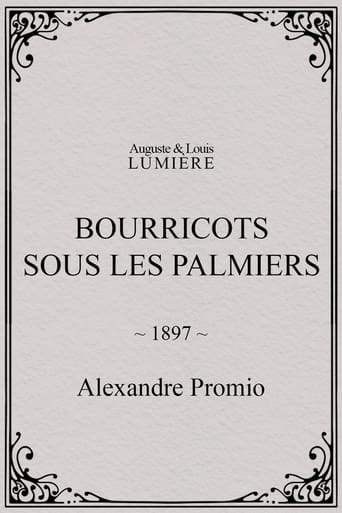 Poster of Bourricots sous les palmiers