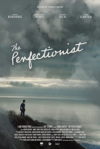Poster of The Perfectionist