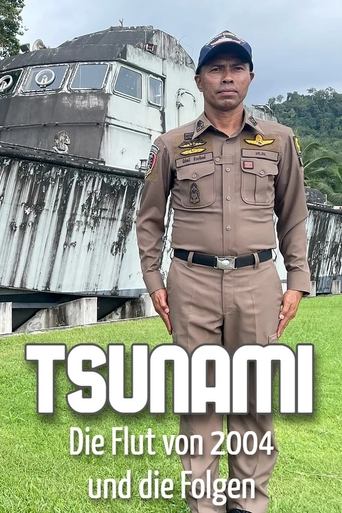 Poster of Tsunami - The flood of 2004 and the consequences