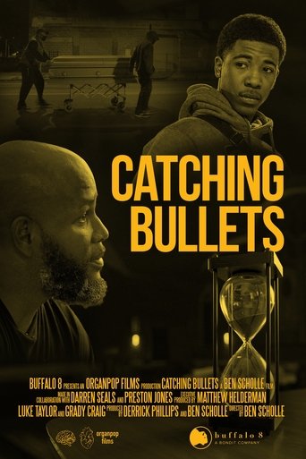 Poster of Catching Bullets